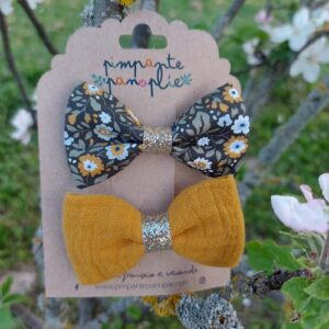 Barrettes cheveux pince croco